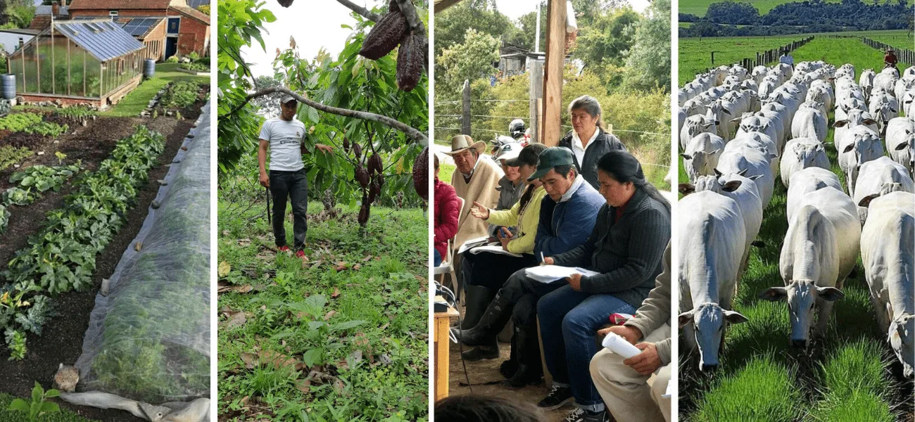 Apadrina el FEPAS SOTEA-min