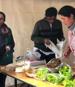 Galería feria de emprendimiento el verjón bajo