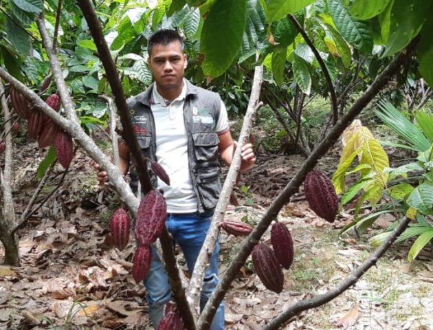 Soluciones-agricolas-cacao-min